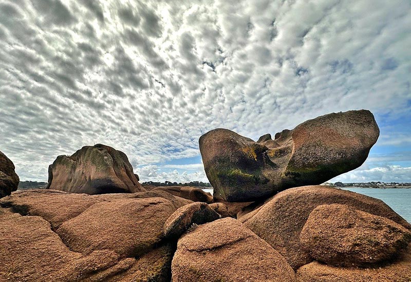 养生粗粮皂角米成“美容神器”？